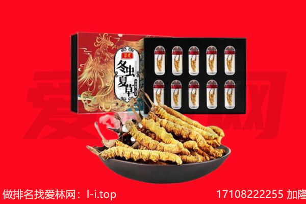 乌兰县虫草回收